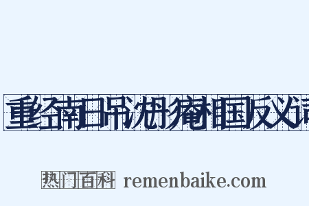 重经南日吊沈彤庵相国反义词是什么意思的图片